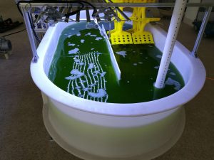 小球藻在跑道池光生物反應器中培養(yǎng)