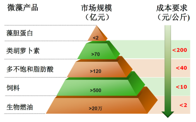 微藻產業(yè)化應用前景
