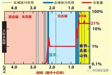 圖3 藻類出現(xiàn)提高早期地球大氣的氧含量并促進了高等生物進化(圖片來源于網(wǎng)絡)